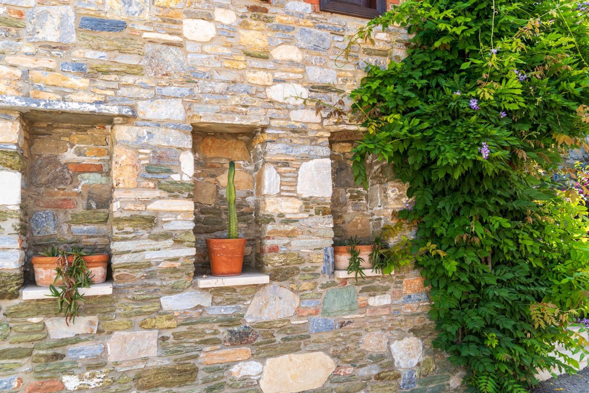 Villa Ionia House Selçuk Exterior foto
